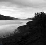 Fishing, Gouthwaite Reservoir